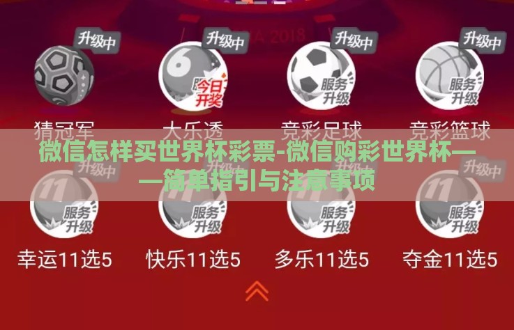 微信怎样买世界杯彩票-微信购彩世界杯——简单指引与注意事项