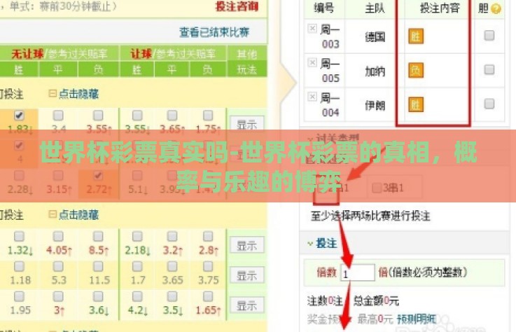 世界杯彩票真实吗-世界杯彩票的真相，概率与乐趣的博弈