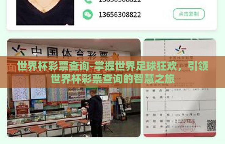世界杯彩票查询-掌握世界足球狂欢，引领世界杯彩票查询的智慧之旅