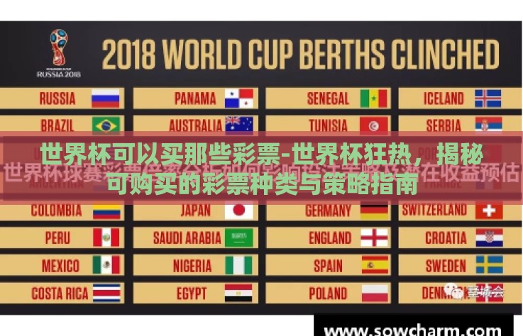 世界杯可以买那些彩票-世界杯狂热,揭秘可购买的彩票种类与策略指南 世界杯可以买那些彩票-世界杯狂热,揭秘可购买的彩票种类与策略指南