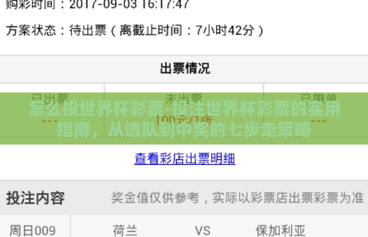 怎么投世界杯彩票-投注世界杯彩票的实用指南，从选队到中奖的七步走策略