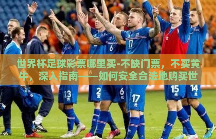 世界杯足球彩票哪里买-不缺门票，不买黄牛，深入指南——如何安全合法地购买世界杯足球彩票
