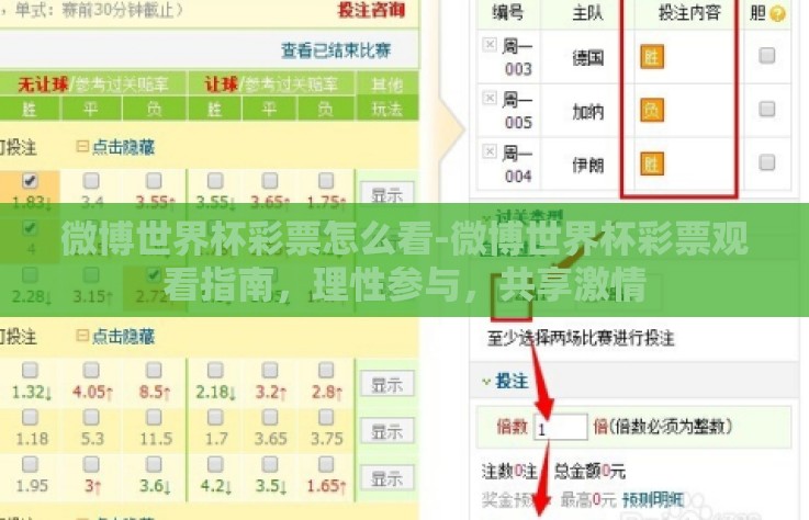 微博世界杯彩票怎么看-微博世界杯彩票观看指南,理性参与,共享激情 微博世界杯彩票怎么看-微博世界杯彩票观看指南,理性参与,共享激情