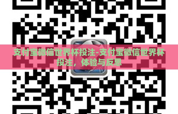 支付宝微信世界杯投注-支付宝微信世界杯投注，体验与反思