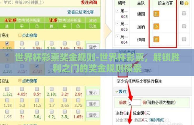 世界杯彩票奖金规则-世界杯彩票，解锁胜利之门的奖金规则探索
