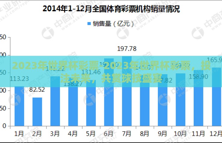 2023年世界杯彩票-2023年世界杯彩票，投注未来，共赏球技盛宴