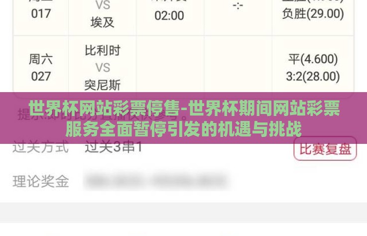世界杯网站彩票停售-世界杯期间网站彩票服务全面暂停引发的机遇与挑战 世界杯网站彩票停售-世界杯期间网站彩票服务全面暂停引发的机遇与挑战