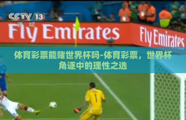 体育彩票能赌世界杯吗-体育彩票，世界杯角逐中的理性之选
