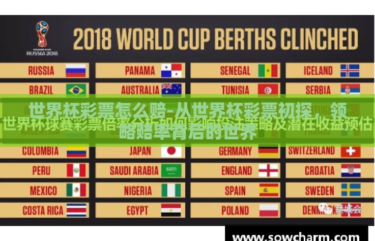 世界杯彩票怎么赔-从世界杯彩票初探,领略赔率背后的世界 世界杯彩票怎么赔-从世界杯彩票初探,领略赔率背后的世界