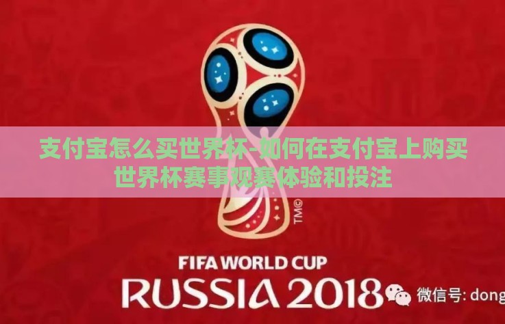 支付宝怎么买世界杯-如何在支付宝上购买世界杯赛事观赛体验和投注 支付宝怎么买世界杯-如何在支付宝上购买世界杯赛事观赛体验和投注