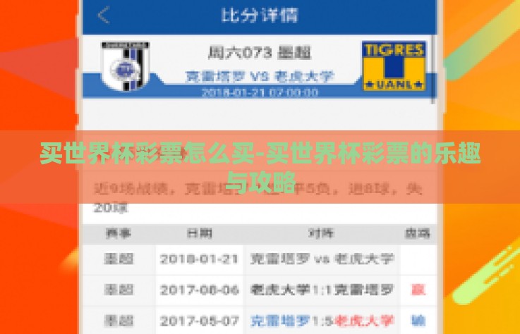 买世界杯彩票怎么买-买世界杯彩票的乐趣与攻略
