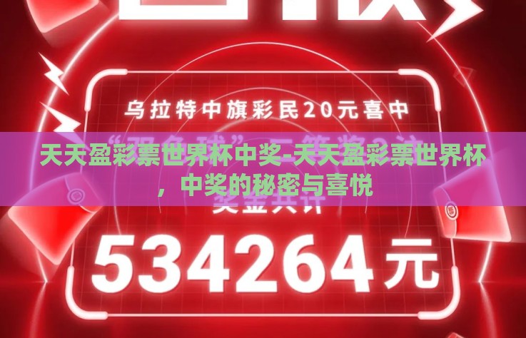 天天盈彩票世界杯中奖-天天盈彩票世界杯，中奖的秘密与喜悦