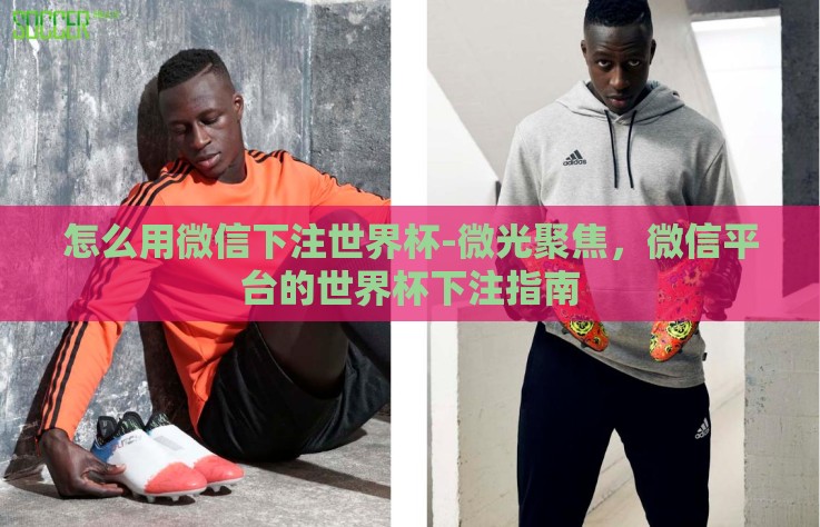 怎么用微信下注世界杯-微光聚焦，微信平台的世界杯下注指南