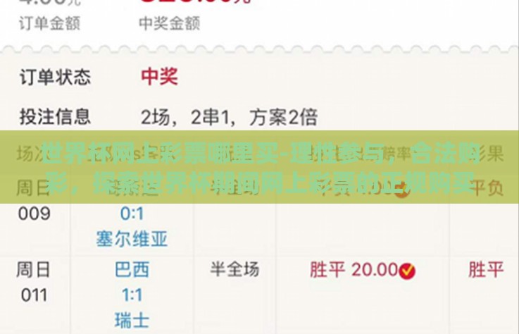 世界杯网上彩票哪里买-理性参与，合法购彩，探索世界杯期间网上彩票的正规购买渠道