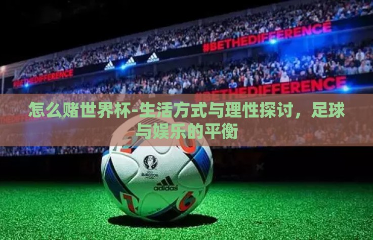 怎么赌世界杯-生活方式与理性探讨，足球与娱乐的平衡