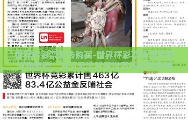 世界杯彩票无法购买-世界杯彩票热潮中的冷静思考,为何无法购买世界杯彩票是明智之举 世界杯彩票无法购买-世界杯彩票热潮中的冷静思考,为何无法购买世界杯彩票是明智之举