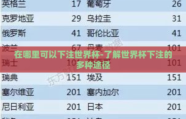 在哪里可以下注世界杯-了解世界杯下注的多种途径