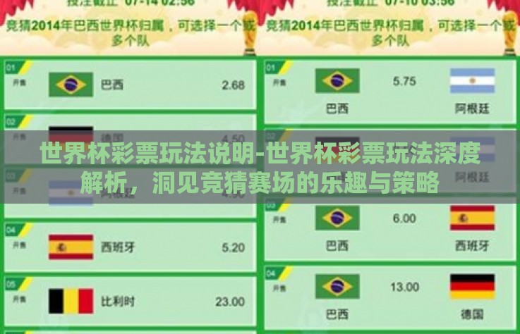 世界杯彩票玩法说明-世界杯彩票玩法深度解析，洞见竞猜赛场的乐趣与策略