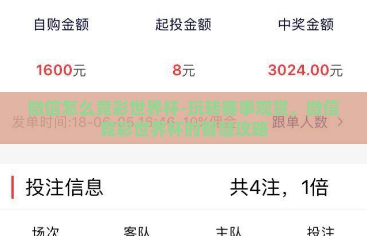 微信怎么竞彩世界杯-玩转赛事观赏,微信竞彩世界杯的智慧攻略 微信怎么竞彩世界杯-玩转赛事观赏,微信竞彩世界杯的智慧攻略