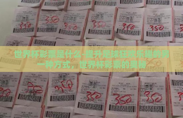 世界杯彩票是什么-提升足球狂欢乐趣的另一种方式,世界杯彩票的奥秘 世界杯彩票是什么-提升足球狂欢乐趣的另一种方式,世界杯彩票的奥秘