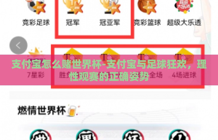 支付宝怎么赌世界杯-支付宝与足球狂欢，理性观赛的正确姿势