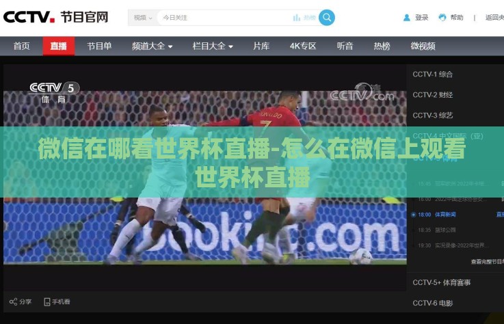 微信在哪看世界杯直播-怎么在微信上观看世界杯直播