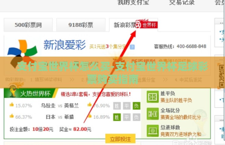 支付宝世界杯怎么买-支付宝世界杯足球彩票购买指南 支付宝世界杯怎么买-支付宝世界杯足球彩票购买指南