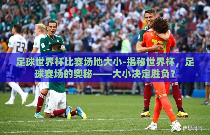 足球世界杯比赛场地大小-揭秘世界杯，足球赛场的奥秘——大小决定胜负？