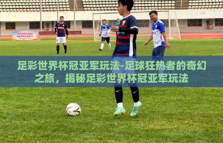 足彩世界杯冠亚军玩法-足球狂热者的奇幻之旅，揭秘足彩世界杯冠亚军玩法