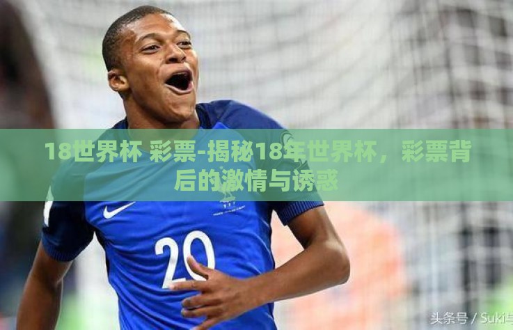 18世界杯 彩票-揭秘18年世界杯，彩票背后的激情与诱惑