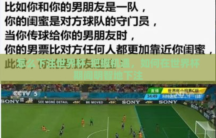 怎么下注世界杯-把握机遇，如何在世界杯期间明智地下注