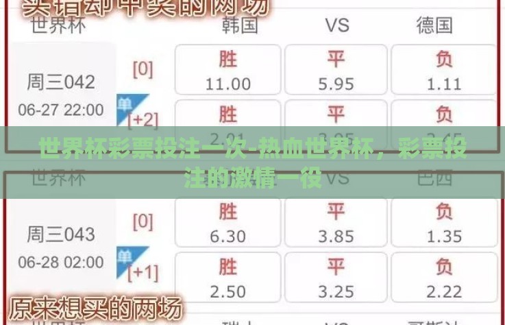 世界杯彩票投注一次-热血世界杯,彩票投注的激情一役 世界杯彩票投注一次-热血世界杯,彩票投注的激情一役