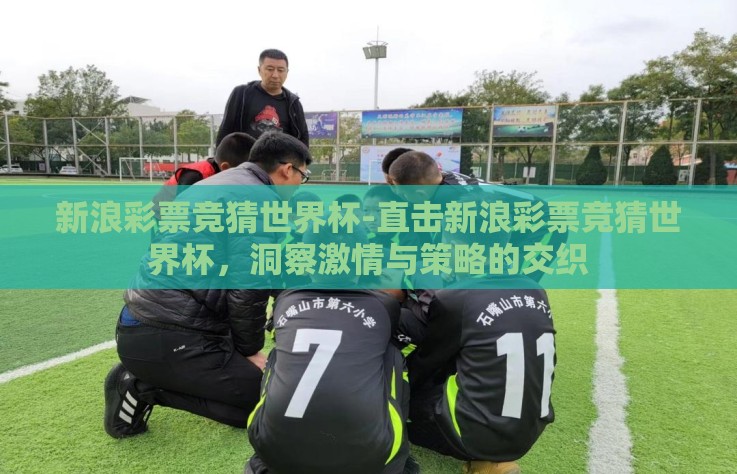 新浪彩票竞猜世界杯-直击新浪彩票竞猜世界杯，洞察激情与策略的交织