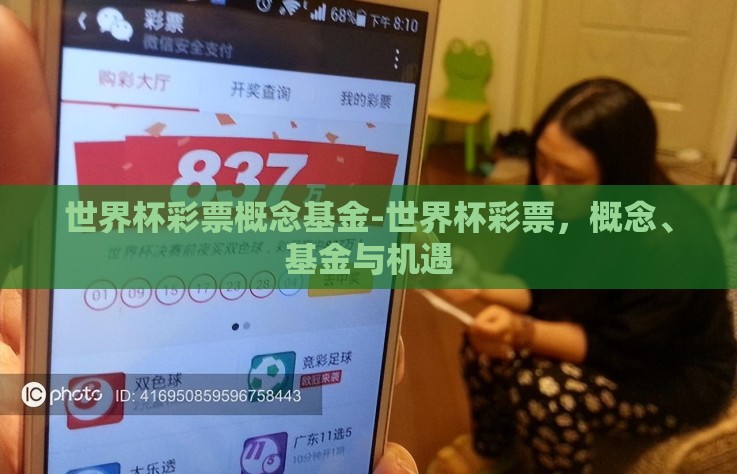 世界杯彩票概念基金-世界杯彩票，概念、基金与机遇