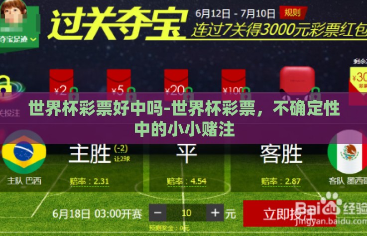 世界杯彩票好中吗-世界杯彩票，不确定性中的小小赌注