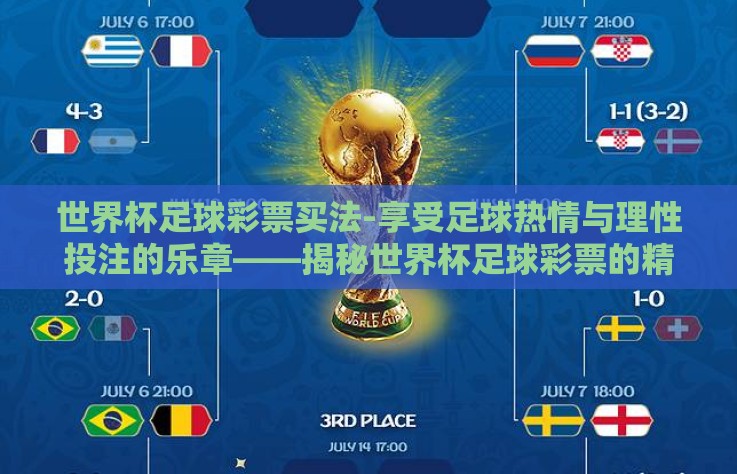 世界杯足球彩票买法-享受足球热情与理性投注的乐章——揭秘世界杯足球彩票的精明买法