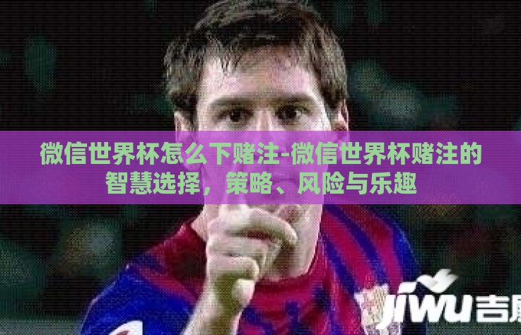 微信世界杯怎么下赌注-微信世界杯赌注的智慧选择，策略、风险与乐趣