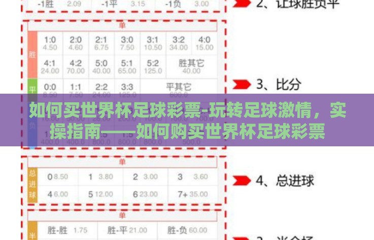 如何买世界杯足球彩票-玩转足球激情，实操指南——如何购买世界杯足球彩票