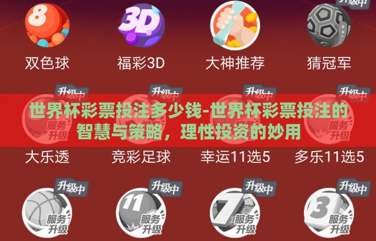 世界杯彩票投注多少钱-世界杯彩票投注的智慧与策略，理性投资的妙用