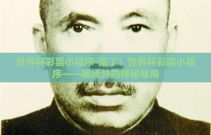 世界杯彩票小程序-赢了！世界杯彩票小程序——赛场外的神秘赌局