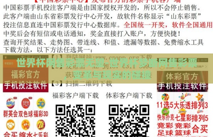 世界杯网售彩票无望-世界杯梦断网售彩票，变革与现实的碰撞