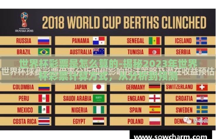 世界杯彩票是怎么算的-揭秘2023年世界杯彩票计算方式，从分析到预测