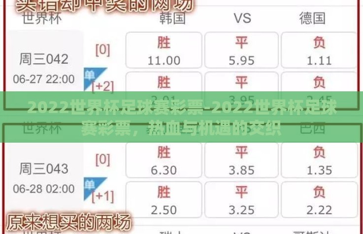 2022世界杯足球赛彩票-2022世界杯足球赛彩票，热血与机遇的交织