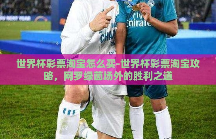 世界杯彩票淘宝怎么买-世界杯彩票淘宝攻略，网罗绿茵场外的胜利之道