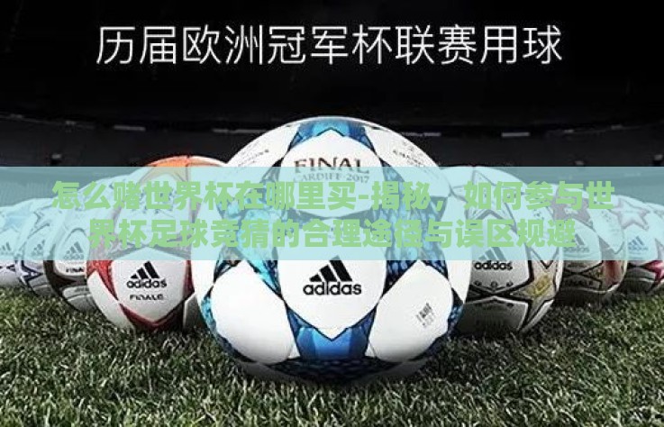 怎么赌世界杯在哪里买-揭秘，如何参与世界杯足球竞猜的合理途径与误区规避