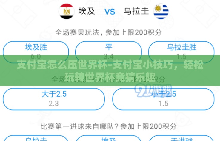 支付宝怎么压世界杯-支付宝小技巧，轻松玩转世界杯竞猜乐趣