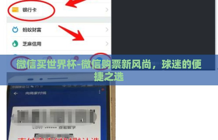 微信买世界杯-微信购票新风尚，球迷的便捷之选