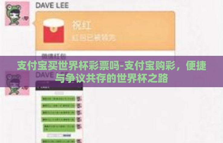 支付宝买世界杯彩票吗-支付宝购彩，便捷与争议共存的世界杯之路