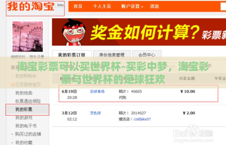 淘宝彩票可以买世界杯-买彩中梦，淘宝彩票与世界杯的足球狂欢