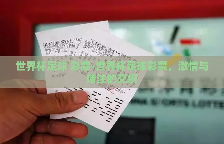 世界杯足球 彩票-世界杯足球彩票，激情与赌注的交织
